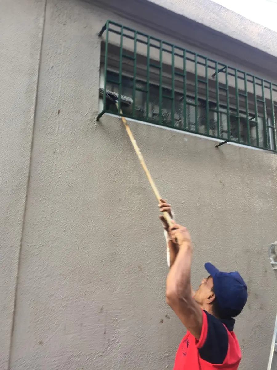 Cleaning a window grille with an extension pole